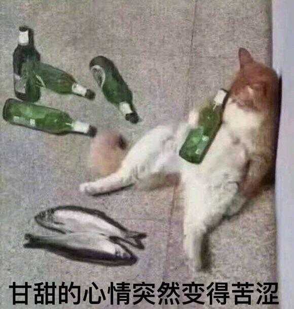 走出社恐，启蒙文